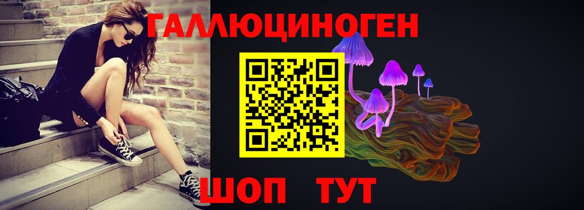 Псилоцибиновые грибы Psilocybe Череповец
